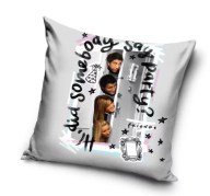 Friends Kissen Party